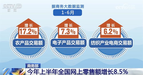 透过数据看上半年全国网上零售 成绩单 产业电商激发转型新潜力
